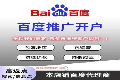 竞价广告的智能投放：XX平台的创新实践